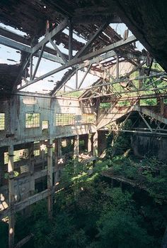 an abandoned building with stairs leading up to the second floor and trees growing around it