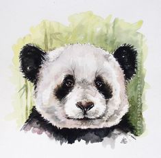 a watercolor painting of a panda bear's face with green grass in the background