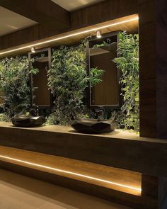 there are three sinks in the bathroom with plants on the wall