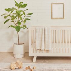 a white crib with a potted plant and wooden toy cars on the floor