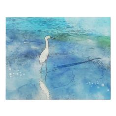 a watercolor painting of a bird standing in the shallow blue water at the beach