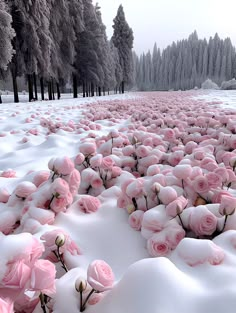 snow covered ground with pink flowers and trees in the background