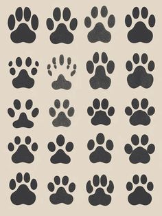 Paw Images - Free Download on Freepik Dog Memorial Tattoos, Memorial Tattoos, Free For Commercial Use, Dog Memorial, Psd Files, Quality Images, Free Photos, High Quality Images, Graphic Resources