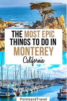 the most epic things to do in monterey california