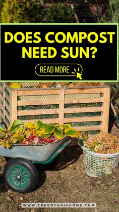 Guide to whether compost bins need sun with tips on compost DIY, compost tumbler placement, and how to start composting. Includes insights on compost bin DIY and composting at home. Compost Diy, Diy Compost Tumbler, Composting For Beginners, Compost Bin Pallet, Composting Methods