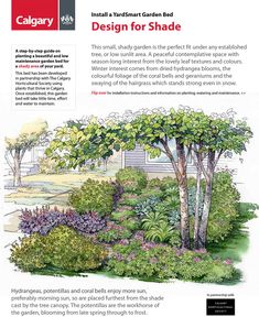 a garden design for shade is featured in the magazine calgary's australian garden book