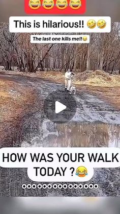 Melanie Shipp on Instagram: "OMG!!! 🤣😂 The last one is too funny!! #funny #hilarious #omg #OhNo #toofunny #lol #whoa #dogs #dogwalking #doglover" Funny Wild Animals, Baby Animal Videos, You Make Me Laugh, Special Pictures, Wow Video, Tag Your Friends, Funny As Hell, Cute Funny Dogs, Funny Animal Memes