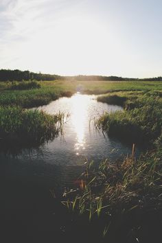 the sun shines brightly through the clouds over a marshy area with grass and water