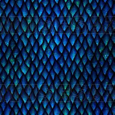 a blue and green pattern with the words,'march is dragon scales day '