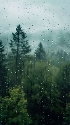 rain drops on the window and trees in the foreground, with green foliage below