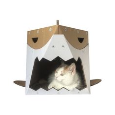 a cat sitting in a cardboard box shaped like a shark