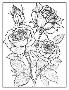 three roses with leaves on the stems coloring page