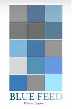 blue and grey squares with the words blue feed