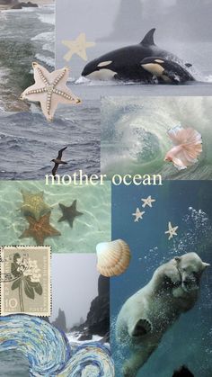 there are many different pictures with the words mother ocean on them and an orca whale in the water