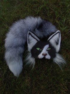 a cat's head with green eyes and fur on the ground in the grass