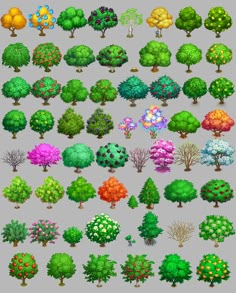 the different types of trees and shrubs are shown in this image, with each type of tree