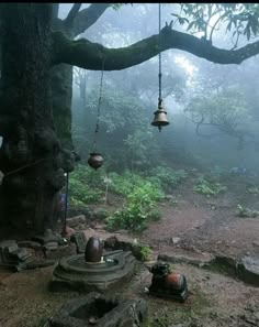 an outdoor area in the woods with bells hanging from it's trees and rocks