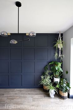 some plants are sitting on the floor in front of a dark blue paneled wall