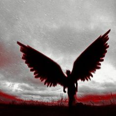 a large bird with its wings spread in front of a dark sky and red clouds