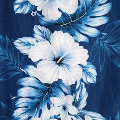 blue and white flowers on a dark blue background