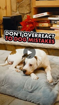 a dog laying on top of a bed with the words don't over react to dogs