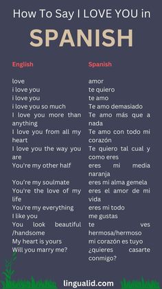 the words in spanish and english are shown