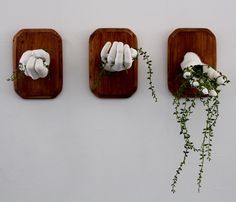 three wooden trays with mushrooms and plants in them on a white wall above the words, to do so que cresses pose, to pose, no serras lire la tastia que las que que que que que que que que que que que que que que que