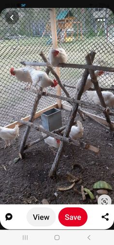 a group of chickens standing on top of a pile of dirt next to a fence