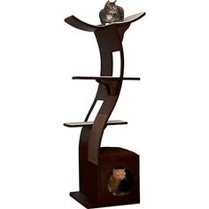 a cat sitting on top of a wooden shelf