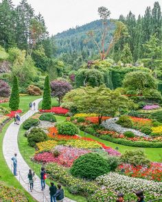 many people are walking around in the garden