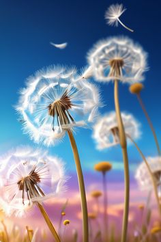 Ethereal dandelions under a dreamlike sky. Feel the freedom in the gentle breeze. A whimsical 3D render of nature's delicate beauty. Pastel Sky, The Enchantments, Pastel Hues, Beautiful Sky, Day For Night, Diffused Light, Night Skies