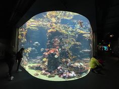 people are looking at an aquarium in the dark