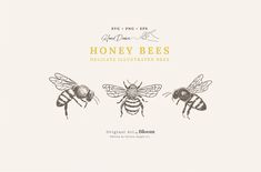 three bees flying in the air next to each other on a white background with yellow lettering