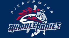 the logo of the fundraiser football team, rumble e - ponies on a dark blue background