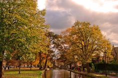 a river running through a lush green park next to tall buildings and trees with yellow leaves on them