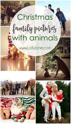 christmas family pictures with animals in front of them and text overlay that reads, christmas family pictures with animals