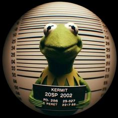 kermit the frog mug shot in front of a jail cell with his name on it