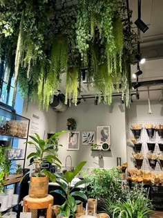 a room filled with lots of green plants and potted plants hanging from the ceiling