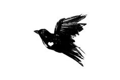 a black and white photo of a bird flying in the sky