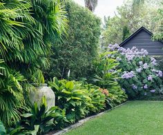 a lush green yard with purple flowers and trees