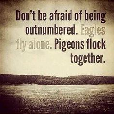 #Thankful #Blessed #FamilyFirst #ForeverFaithful #NeverStop Sanna Ord, Leadership Quotes, Life Coaching, Martin Luther King, Be Afraid, True Words, The Words