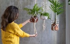 Best Plants for Hanging Macrame (Plant Hanger Ideas) - Maleesha Perera Macrame Hanging Planter, Astuces Diy, Diy Flower Pots, Diy Plant Hanger, How To Hang, Macrame Plant Hangers, Plant Lighting, Ornamental Plants