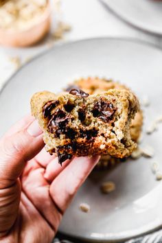 a hand holding a chocolate chip muffin on a plate