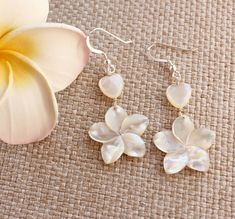 These carved mother of pearl plumeria flowers have beautiful luster and are paired with some heart shaped mother of pearl beads that also have light iridescent tones of light pinks and greens. The earrings are about 2 1/2 inches (6.35 cm) in length from the top of the earring wires to the bottom of the flower. Earring posts would reduce the length by about 1/2 inch (12.7 mm). The flowers are about 1 1/8 inches (28.5 mm) in size and are surprisingly lightweight! They are offered in sterling silve Flower-shaped Mother Of Pearl Earrings For Wedding, Mother Of Pearl Flower Earrings For Wedding, Mother Of Pearl Flower Earrings As Gift, Plumeria Necklace, Mop Jewelry, Plumeria Flowers, Mother Of Pearl Jewelry, Flower Earring, Mother Of Pearl Earrings