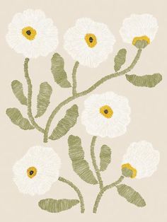 some white flowers with green leaves on a beige background and yellow center in the middle