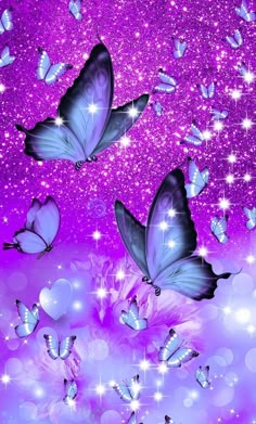 two blue butterflies flying in the sky with sparkles and stars around them on a purple background