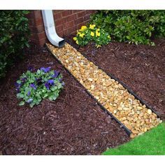 an image of a garden with flowers in the ground and plants growing out of it