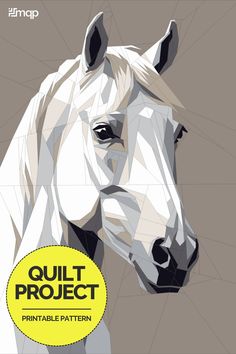 a white horse is shown with the words quilt project on it's front cover