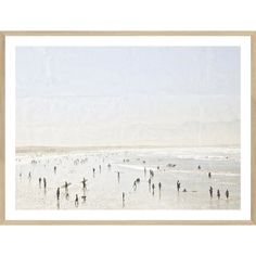 a group of people standing on top of a beach next to the ocean