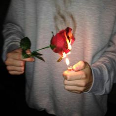 a person holding a rose in their hands with the word love written on it,